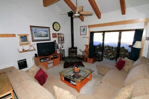 Televisión de pantalla plana, chimenea y reproductor de DVD 