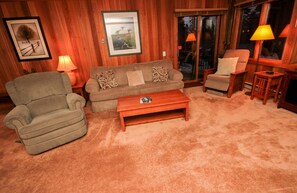 TV, caminetto, videogiochi, lettore DVD