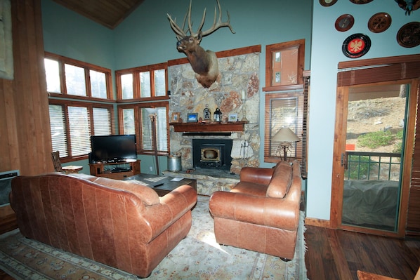 电视、壁炉、DVD 播放器