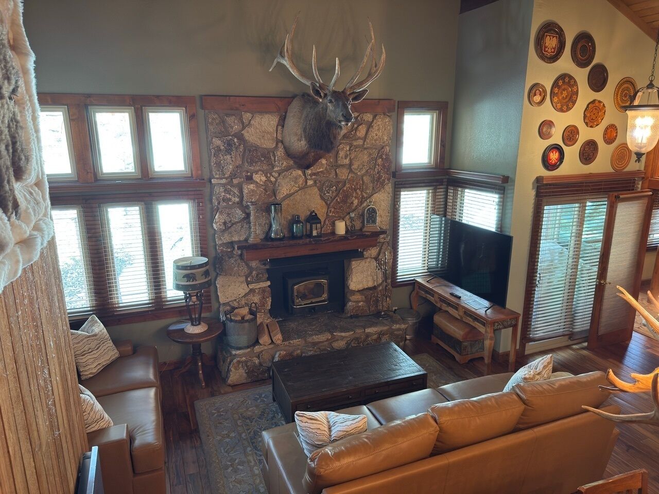 TV, fireplace, DVD player