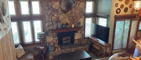 TV, fireplace, DVD player