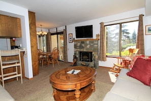 TV, fireplace, video games, DVD player