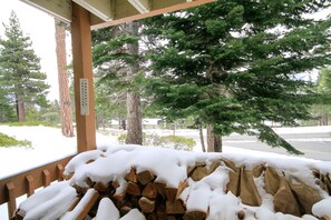 Step outside to a cozy porch surrounded by tall evergreen trees, offering a view of the street and trees beyond.
