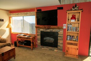 TV, fireplace, DVD player
