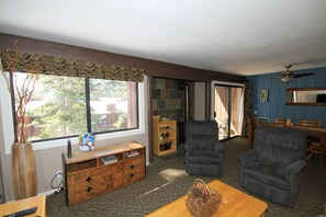 TV, fireplace, books