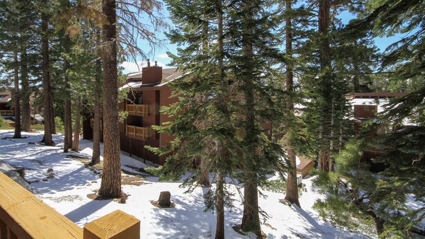 A snowy outdoor area with wooden benches, tall evergreen trees, and a building with a red roof in the background. - Mammoth Ski & Racquet Club #94, 2 bedroom Dog Friendly (Mammoth Lakes)