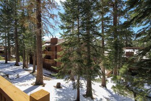 A snowy outdoor area with wooden benches, tall evergreen trees, and a building with a red roof in the background. - Mammoth Ski & Racquet Club #94, 2 bedroom Dog Friendly (Mammoth Lakes)