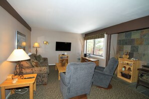 TV, fireplace, books