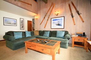 Télévision, cheminée, lecteur de DVD