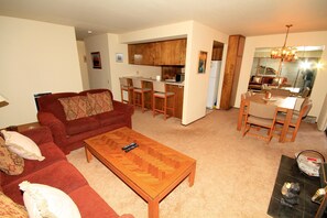 TV, fireplace, video games, DVD player