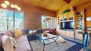 Smart TV, Netflix, DVD player, streaming services