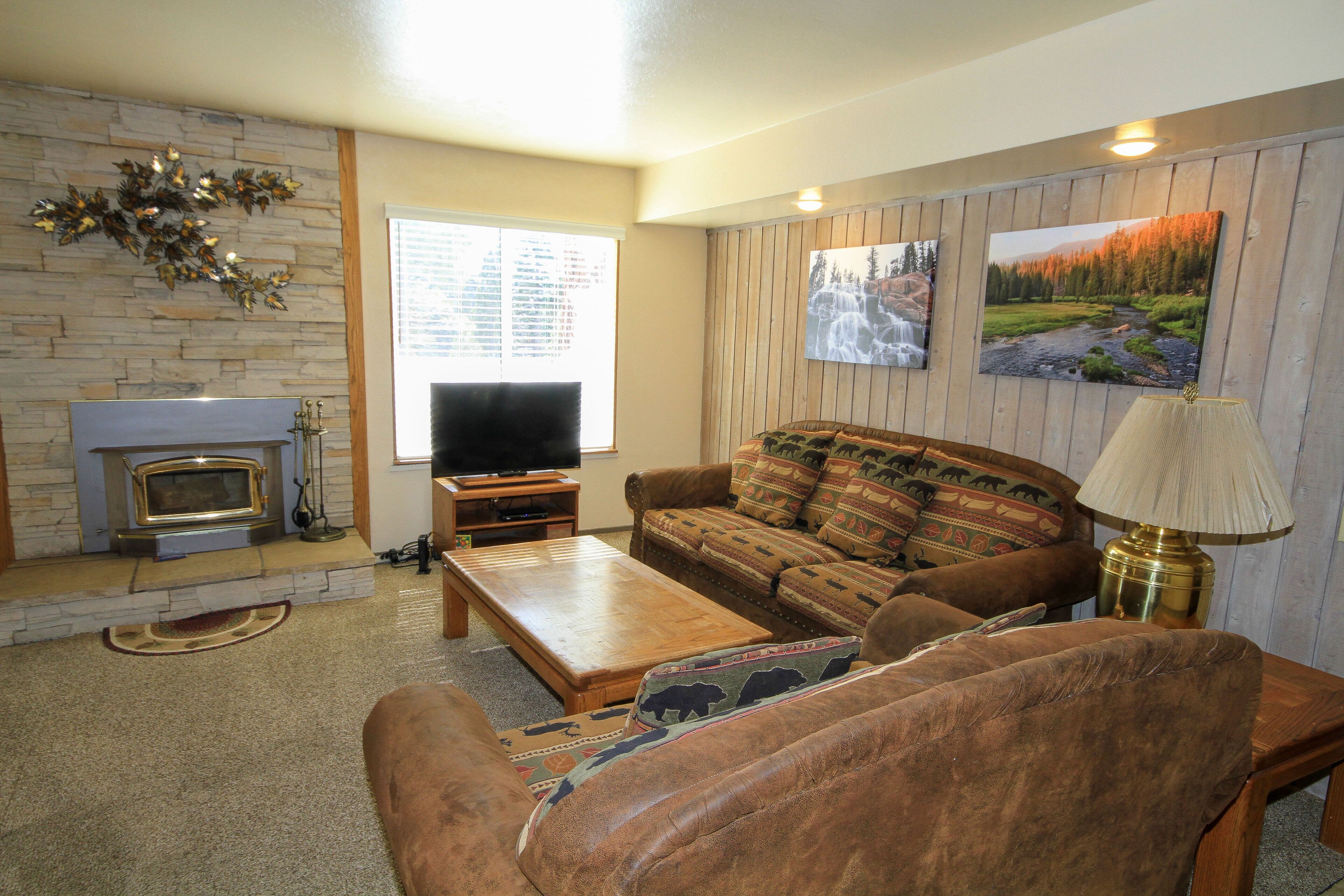 TV, fireplace, video games, DVD player