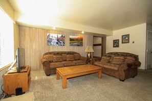 Televisión, chimenea, videojuegos y reproductor de DVD 