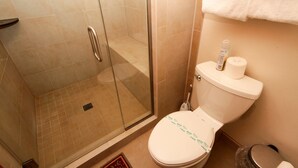 Een badkamer met een douche met glazen wand, een toilet en een prullenbak.