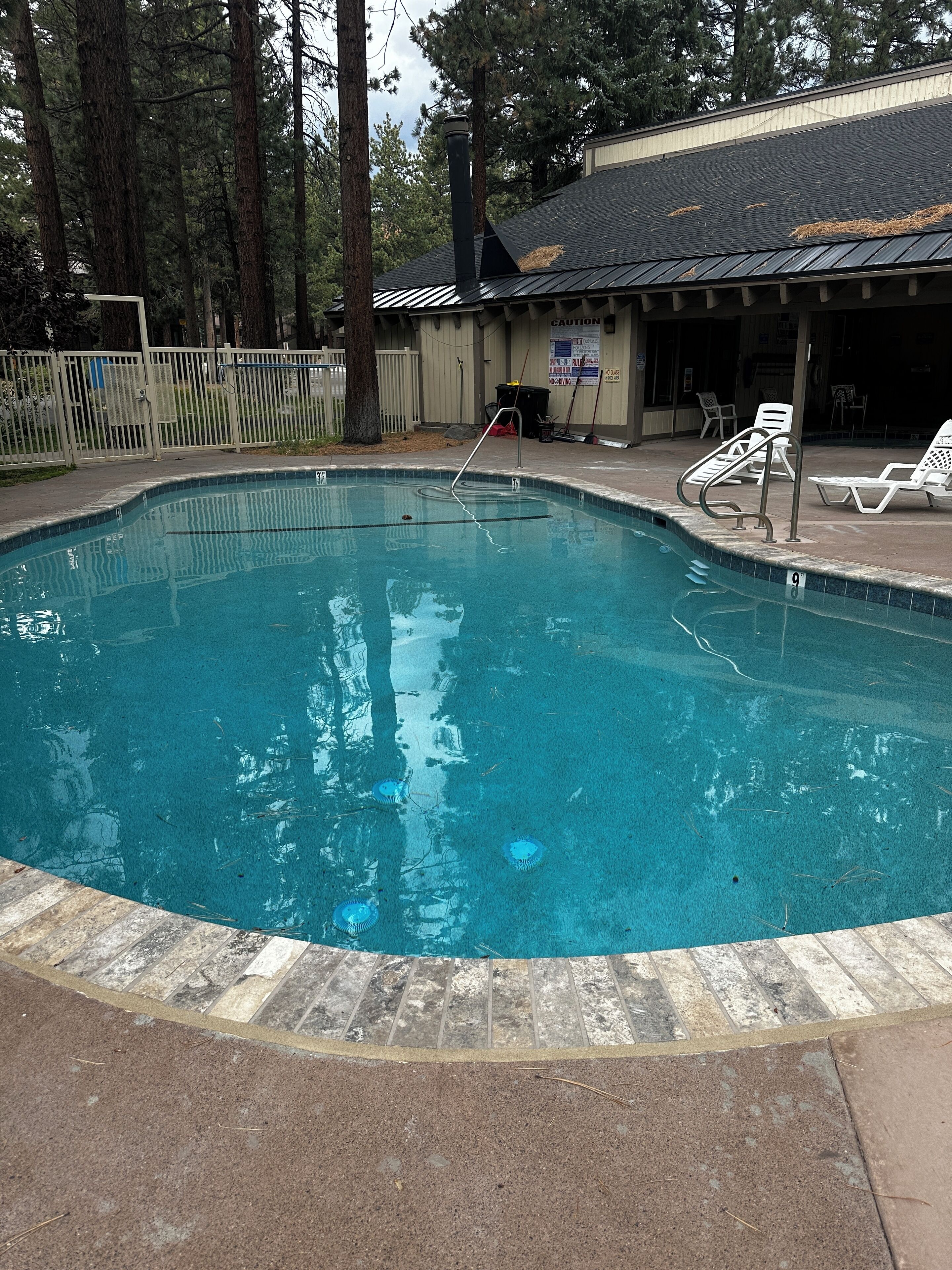 A swimming pool with a tiled edge, surrounded by a fence and trees.