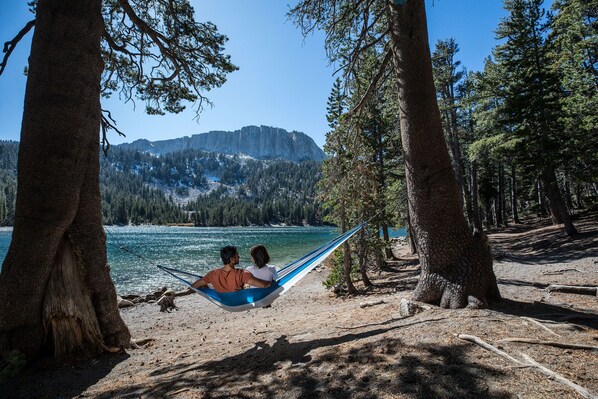 Relax in a hammock suspended between trees, overlooking a serene lake with breathtaking mountain views.