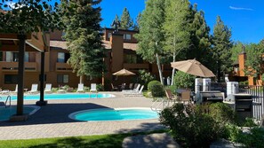 Relax by the pool surrounded by lush greenery and trees.
