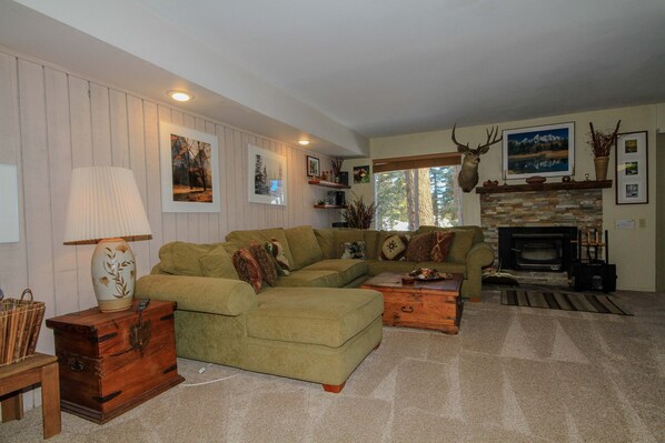 TV, fireplace, video games, DVD player