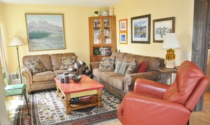 Télévision, cheminée, lecteur de DVD