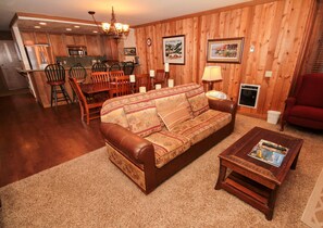 TV, fireplace, DVD player
