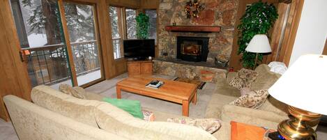 Télévision, cheminée, lecteur de DVD