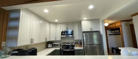 Frigorífico, microondas, horno y placa de cocina