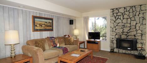 Een televisie, een open haard, videogames en een dvd-speler