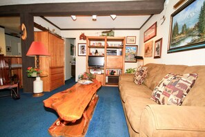 TV, fireplace, DVD player