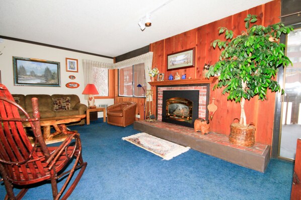 TV, fireplace, DVD player