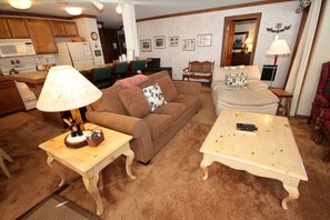 TV, fireplace, DVD player