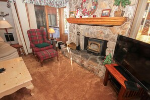 TV, fireplace, DVD player