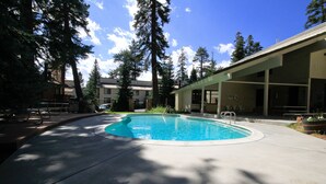 A swimming pool with a curved edge, surrounded by a concrete deck. There are tall trees in the background, and a building with a flat roof to the right. - Discovery 4 #128, Loft - Pet Friendly (Mammoth Lakes)