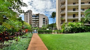 A pathway leading to a hotel with multiple floors, surrounded by lush greenery and palm trees. - Ocean, Ocean, Ocean! AMAZING Views of Sunsets, Rainbows, and Whales! (Lahaina)