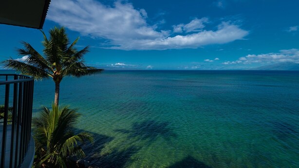 A clear view of the ocean from a balcony with a palm tree. - Vitamin Sea available on Maui Come Play at Kahana Reef 402   (Lahaina)