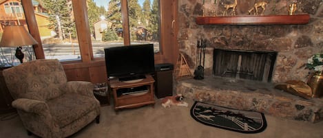 Televisión, chimenea y reproductor de DVD