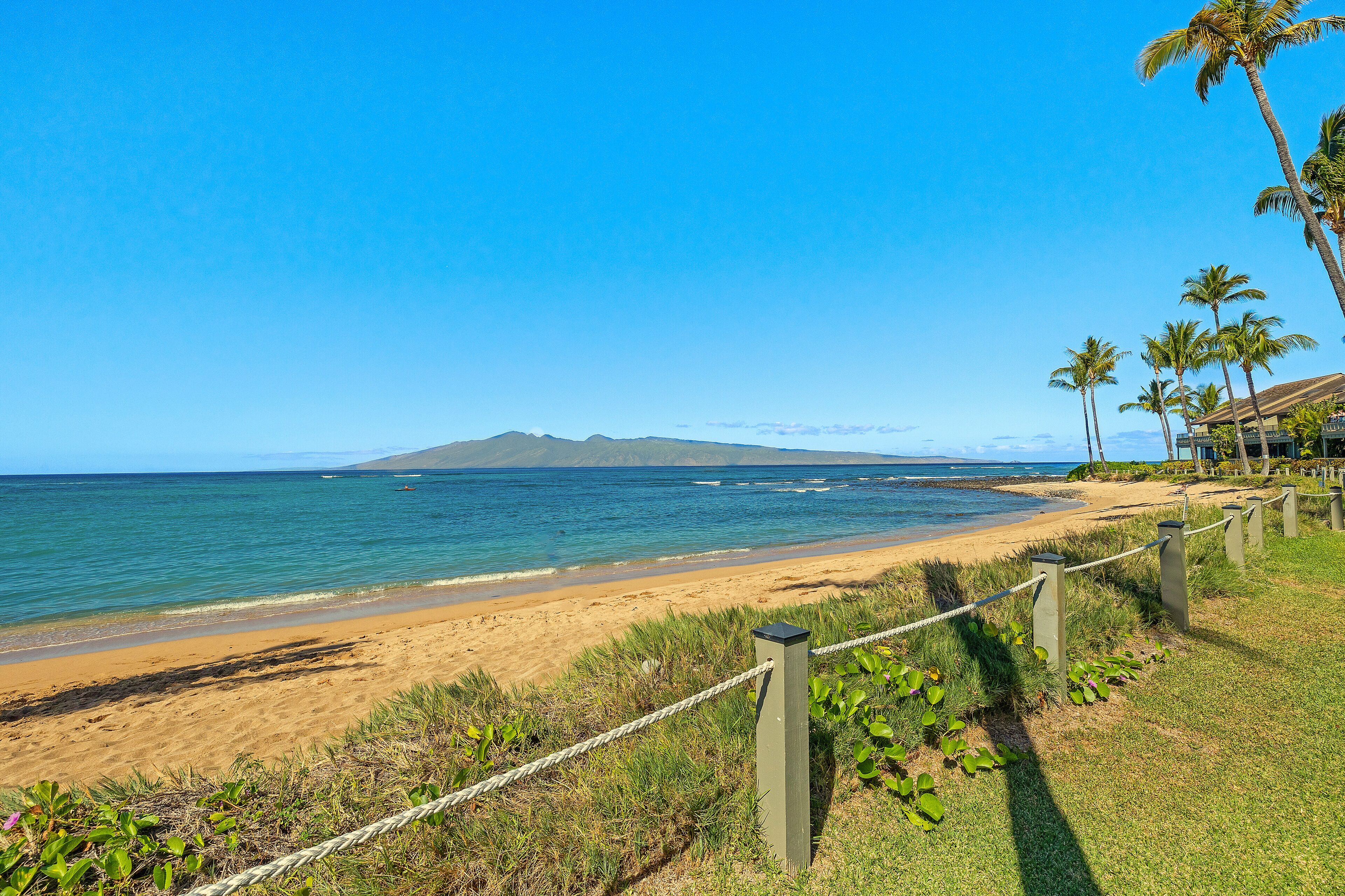 A beach with a wooden fence, palm trees, and a mountain in the background.