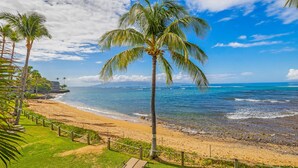 Uma praia com um banco de madeira, palmeiras e vista para o oceano.