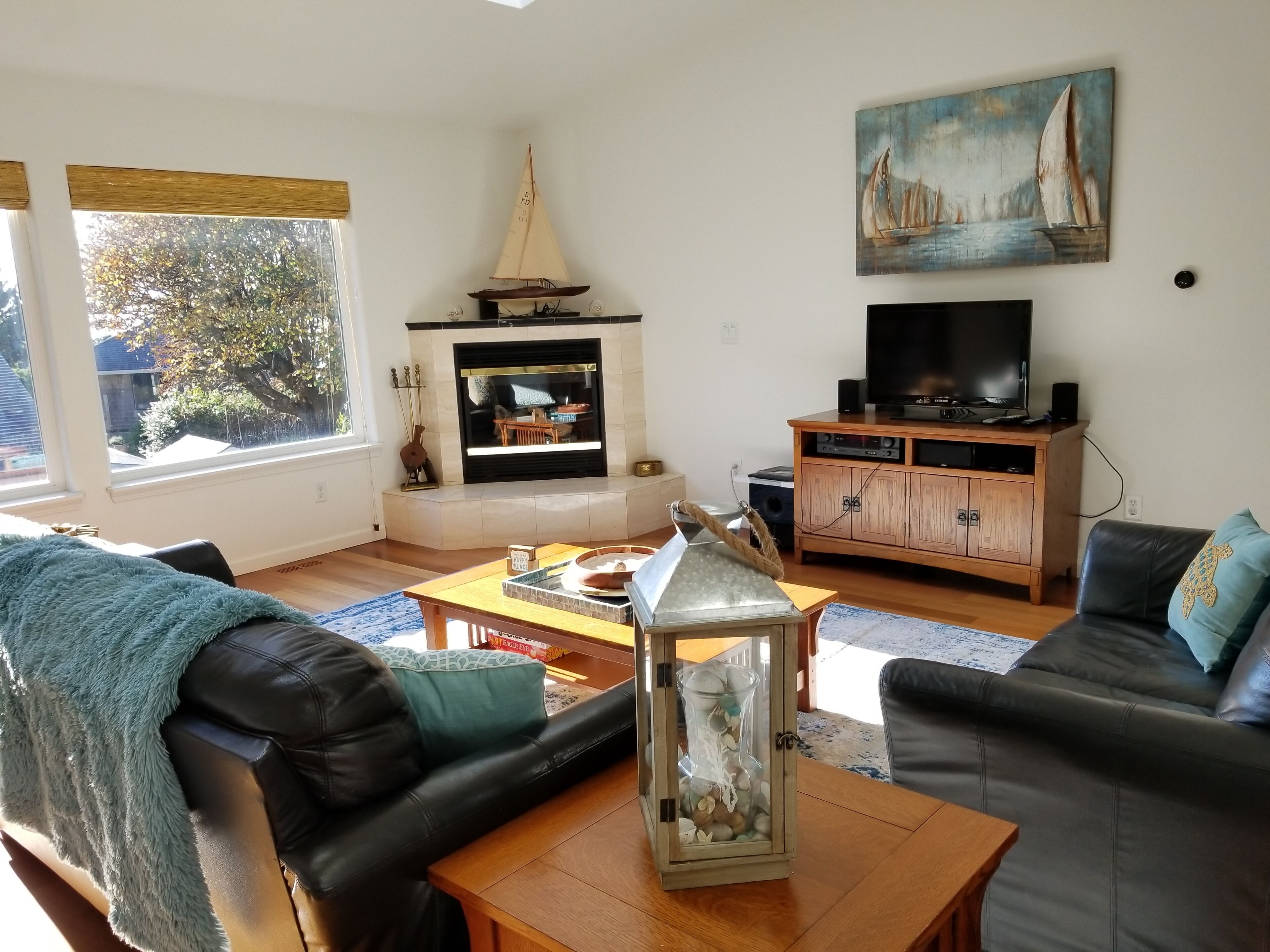 Smart-tv, pejs, dvd-afspiller, bordtennisbord