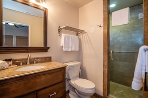 Shower, hair dryer, towels