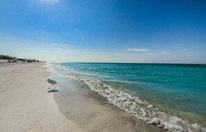On the beach - 3 Palms Retreat, Beachfront Retreat (Indian Rocks Beach)
