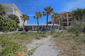 A pathway leading to a building with a covered area, surrounded by palm trees and vegetation.