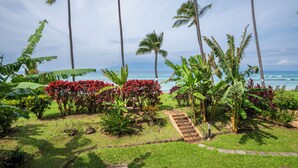 A tropical garden with palm trees, a pathway, and a view of the ocean.