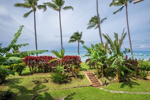 Property grounds - Remodeled Oceanfront Suite - Paki Maui 109 (Lahaina)