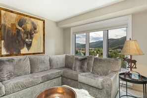 Smart TV, fireplace, DVD player