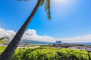 A tropical beach with a palm tree, rocky shoreline, and a cruise ship in the distance.