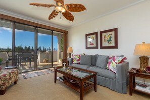 تلفزيون، مشغل دي في دي