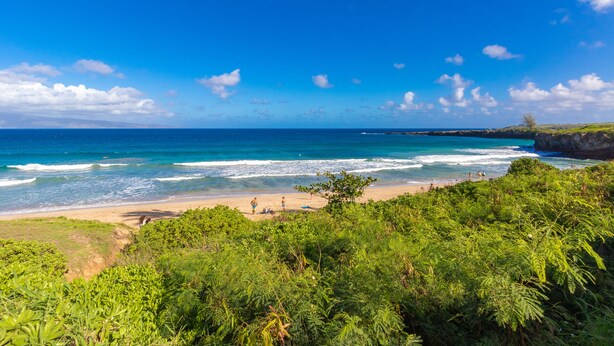 Una playa con aguas azules cristalinas, una orilla arenosa y vegetación verde exuberante al frente.
