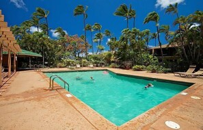 Pool - Watch Sea Turtles from this Ocean Front Lanai. Affordable in Paradise! (Lahaina)