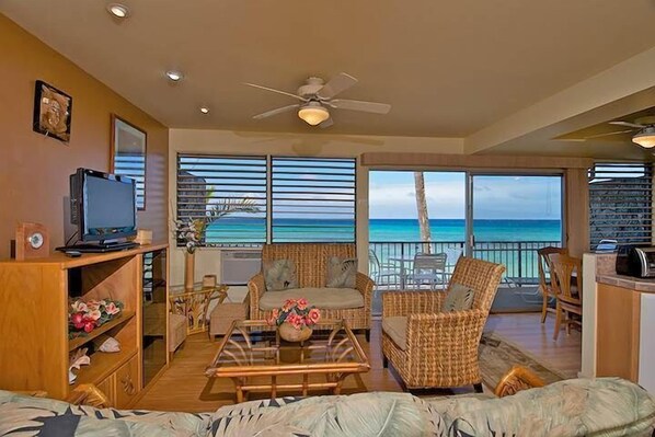 TV, DVD player - Watch Sea Turtles from this Ocean Front Lanai. Affordable in Paradise! (Lahaina)