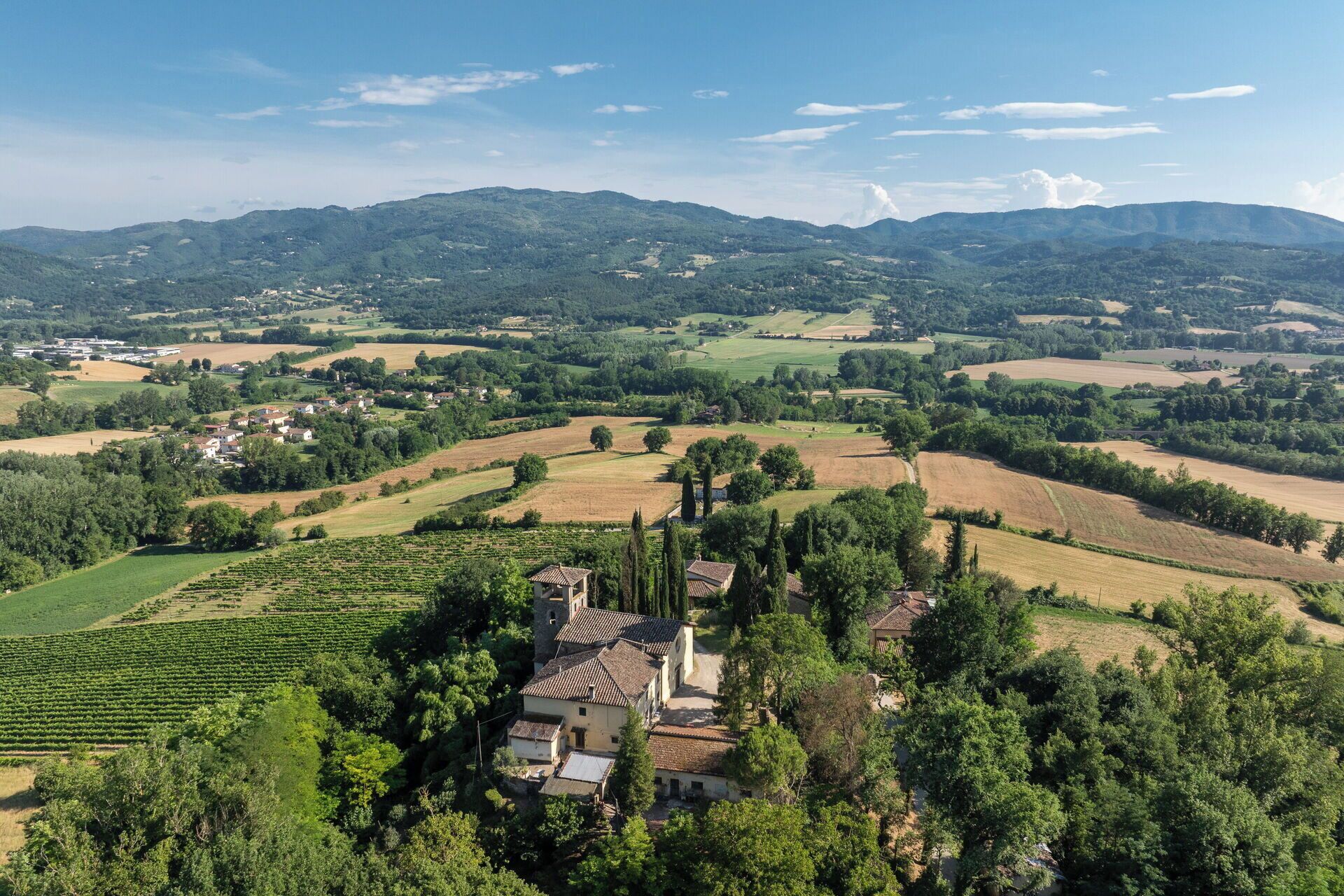 A rural landscape with vineyards, a small village, and rolling hills in the background.